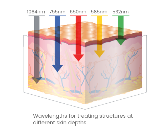 DYNAMIC 5 WAVELENGTHS